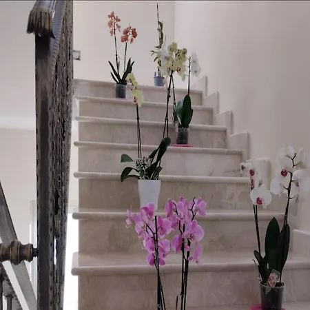 Pensionat Daphnae House 4*